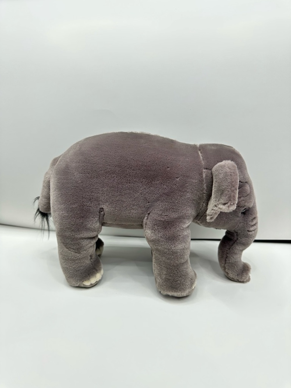Webkinz Signtaure Endangered Asian Elephant - Picture 3 of 7